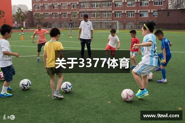 关于3377体育